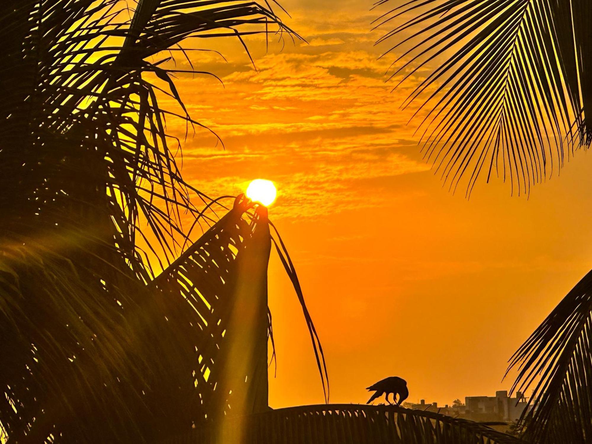 New Panda House Hotel Galle Bagian luar foto